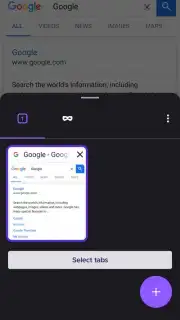 Iceraven Browser capture 10