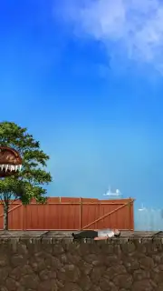 Mexico Rex capture 2