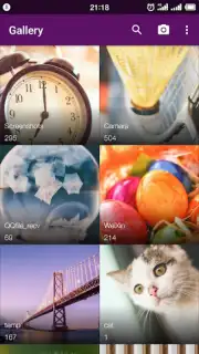 Smart Gallery - Photo Manager capture 7