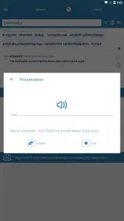 Reverso Translation Dictionary capture 13