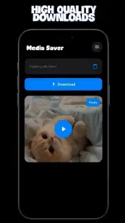 Media Saver capture 3