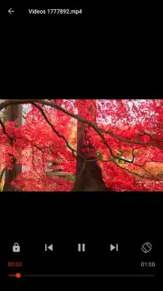 Video Player capture 5