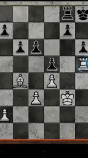 World Chess Championship capture 3