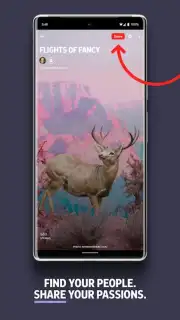 Flipboard capture 5