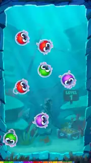 Jigty Jelly capture 3