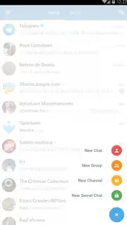 Telegram X capture 21