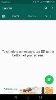 Fake Chat Whatsapp capture 2