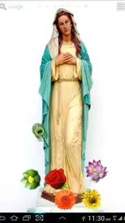 Virgin Mary capture 3