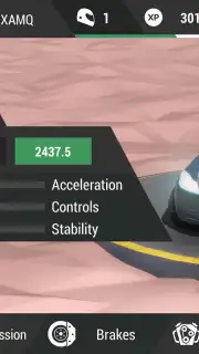 Skid Rally capture 7