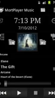 MortPlayer Music capture 6