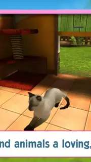 PetWorld: Animal Shelter capture 4