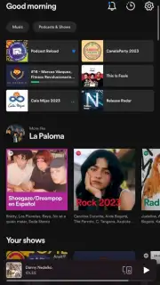 Spotify capture 13