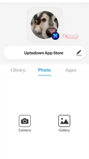 X Icon Changer capture 5