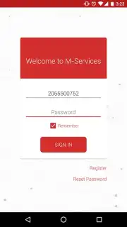 M-Services capture 7