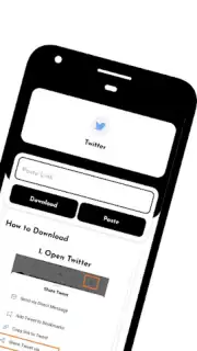 Fast Video Downloader capture 4