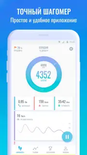 Pedometer capture 4