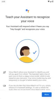 Google Assistant capture 15
