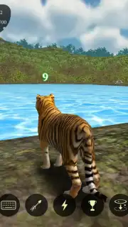 The Tiger capture 2