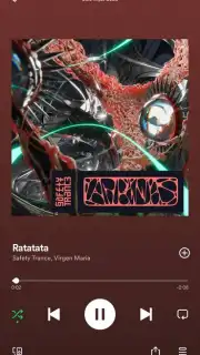 Spotify capture 7