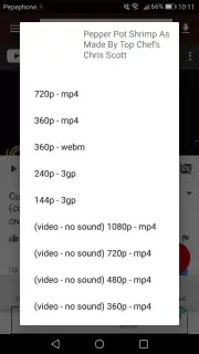 VidCatch capture 1