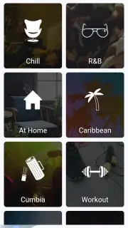 Spotube capture 4