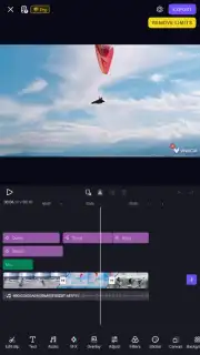 VivaCut capture 6
