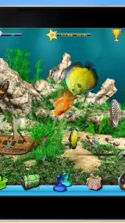 AquaLife 3D capture 7