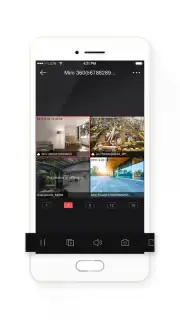 Hik-Connect capture 5