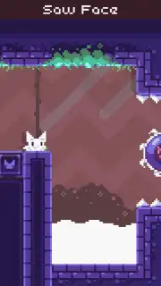 Cat Bird capture 14