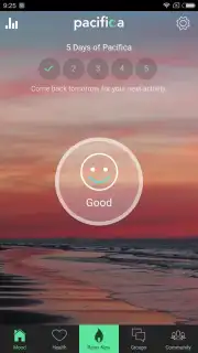 Sanvello capture 2