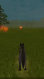 WildCraft capture 2