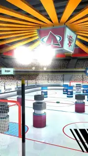 Pin Hockey capture 4