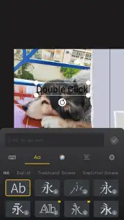 ProCCD capture 10