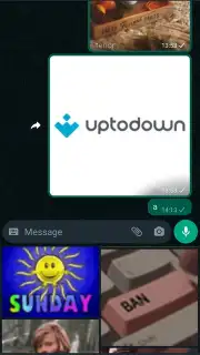 WhatsApp Messenger capture 8