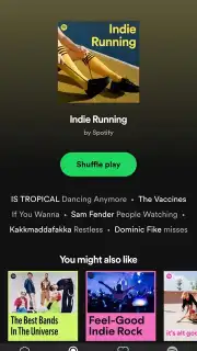 Spotify Lite capture 4