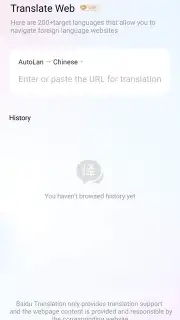 Baidu Translate capture 11
