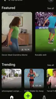 Viggle AI capture 2