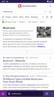 Tor Browser capture 5
