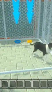 Animal Shelter Pet World Life capture 3