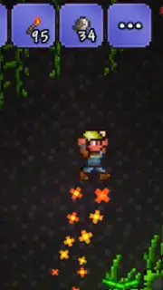 Terraria capture 5