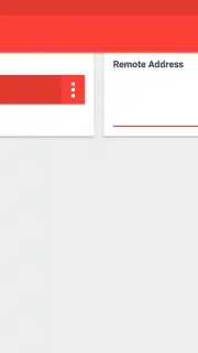 AnyDesk capture 2