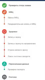 Госуслуги СПб capture 6