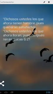 Promesas capture 3