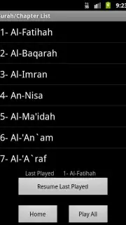 Quran MP3 With Indonesian capture 3