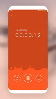 MP3 Recorder capture 7