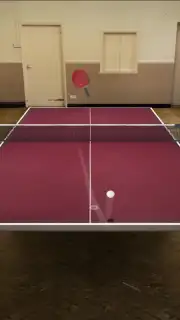 Table Tennis Touch capture 8