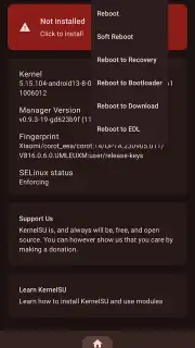 KernelSU capture 5