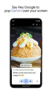 Google Gemini capture 11