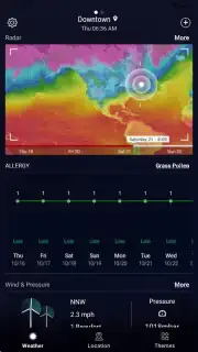 Local Weather Widget capture 13