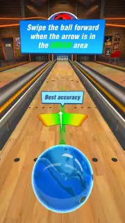 Bowling Crew capture 4